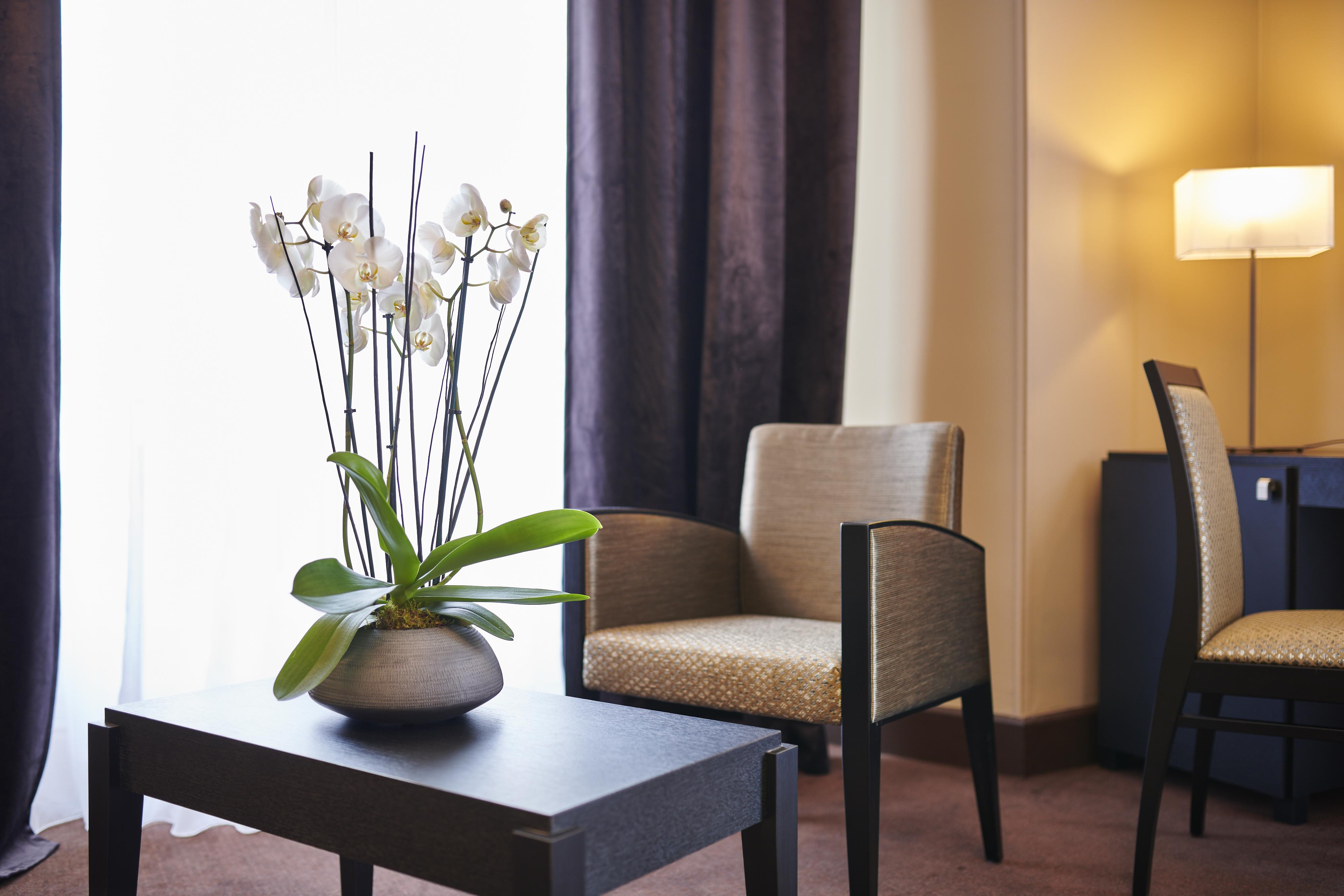 Hotel & Spa Vacances Bleues Le Splendid Dax Kültér fotó